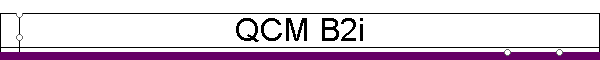 QCM B2i